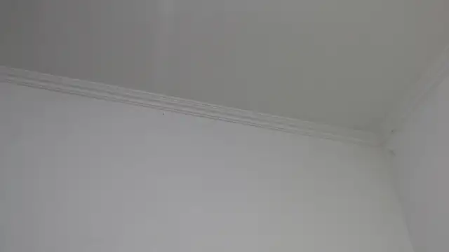 Lotto_bloom live sex cam