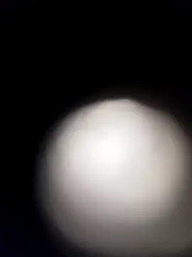 Fafas26 live sex cam