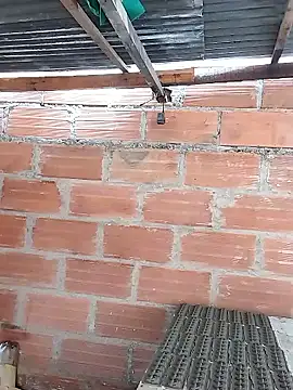 hoteder live sex cam