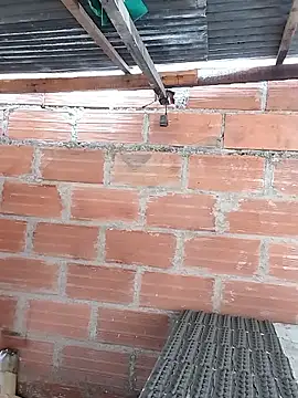 hoteder live sex cam