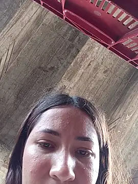 -Nicol's cam snapshot