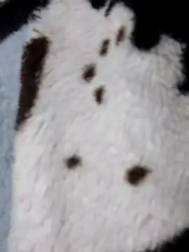 Laxmi_89 live sex cam