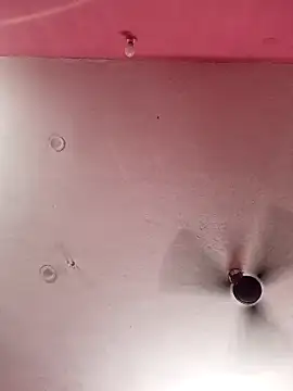 dolphiinn live sex cam