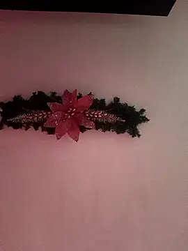 MacroP24 live sex cam