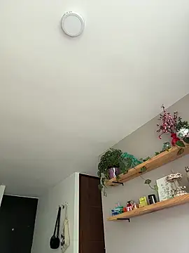 SugarTroubl33 live sex cam