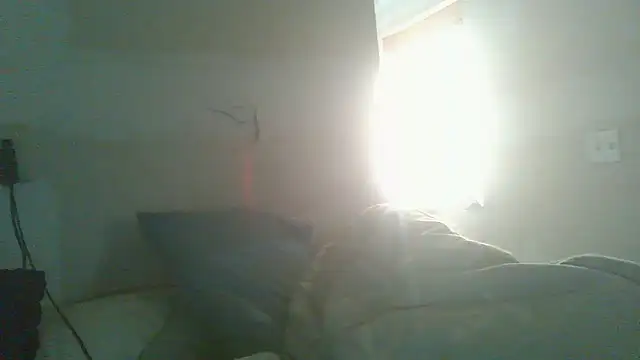 dandonn live sex cam