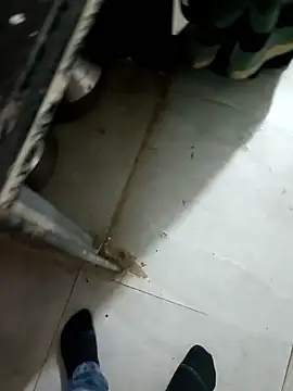 Aanubabya's cam snapshot