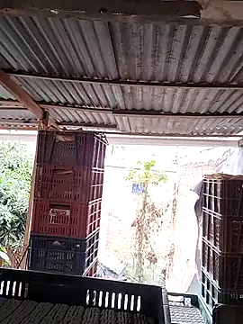 hoteder live sex cam