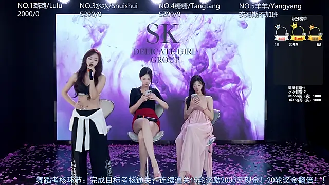 SK-001's cam snapshot