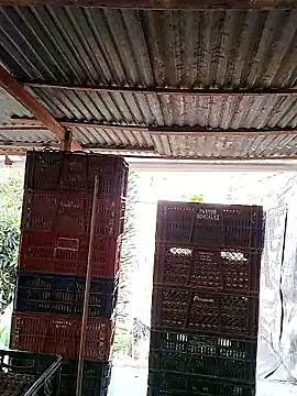 hoteder live sex cam