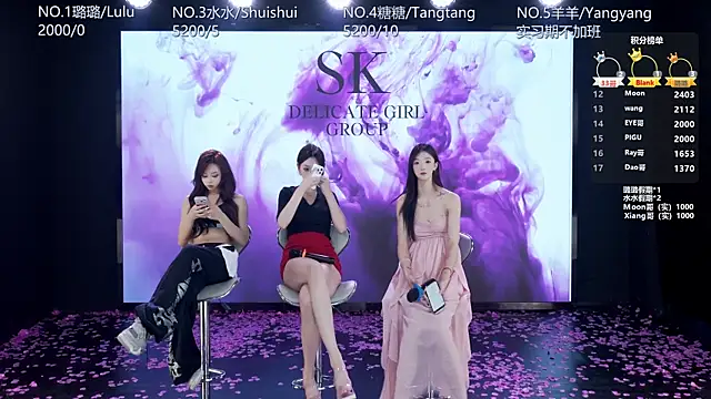 SK-001's cam snapshot