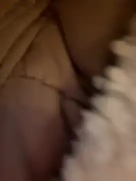 bambi_lu live sex cam