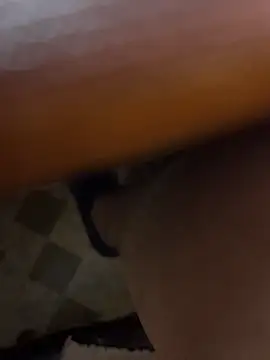 Brown_Beautyz's cam snapshot