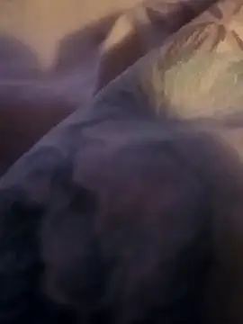 noksimo's cam snapshot