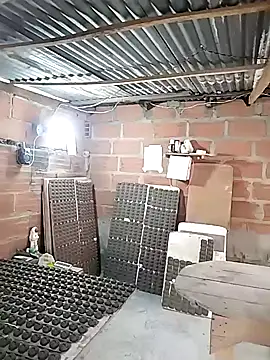 hoteder's cam snapshot