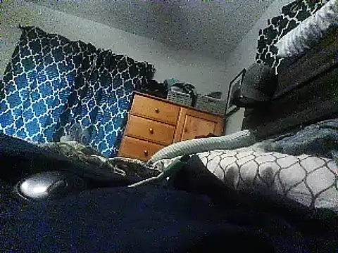 spazz247 live sex cam