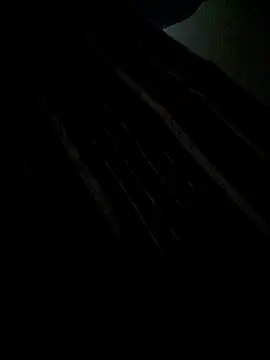 piedic's cam snapshot