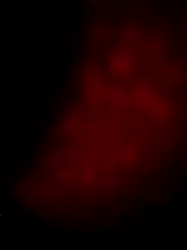 sana14's cam snapshot