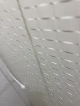 Fenix1002 live sex cam