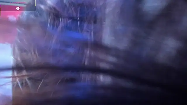 kittymiauu444's cam snapshot