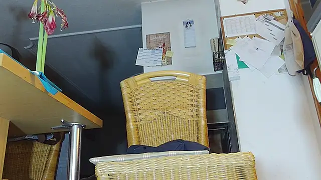 Sexspielzeug-1 live sex cam