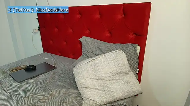 NicoDavisOfficial's cam snapshot