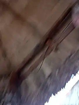 prototipoA45's cam snapshot