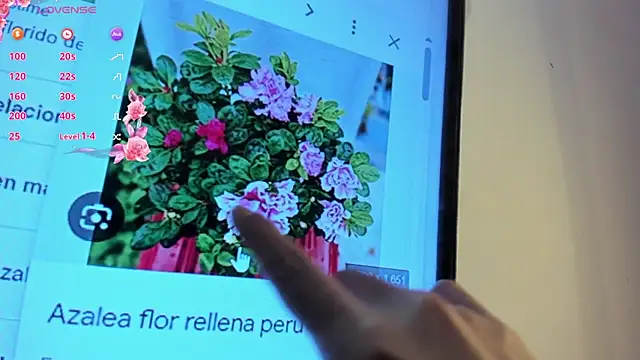 DarshaKhemu live sex cam