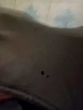 SO-UNICO's cam snapshot