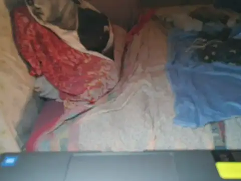 VeneRed live sex cam