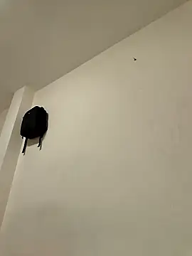 Francoluce23 live sex cam