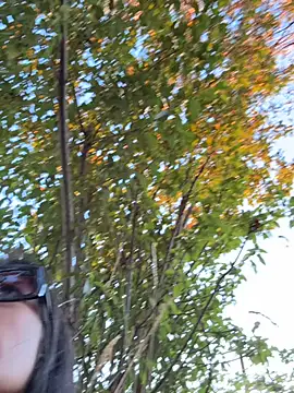 Reinacatchile's cam snapshot