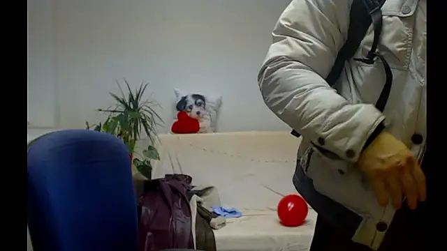 ZeinMiracles live sex cam