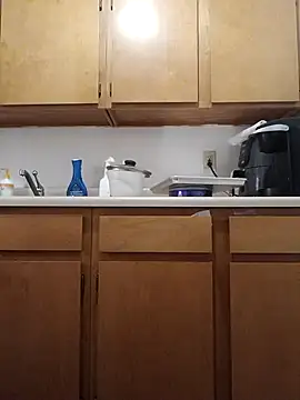 ReallyReallyReal's cam snapshot