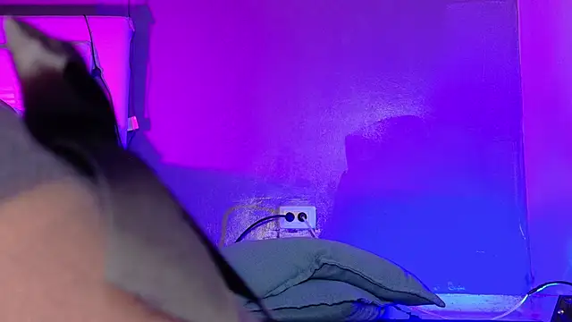 ParisFox_'s cam snapshot