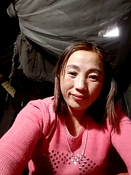 seacyre's cam snapshot