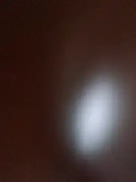 rogerlima2009 live sex cam