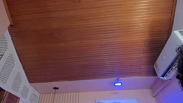 viiolett_lee live sex cam