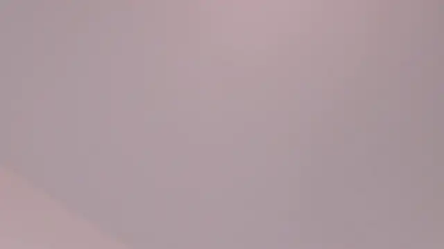 JACKSON_STIFLER live sex cam