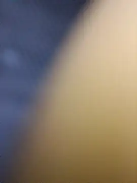 DevinToore live sex cam