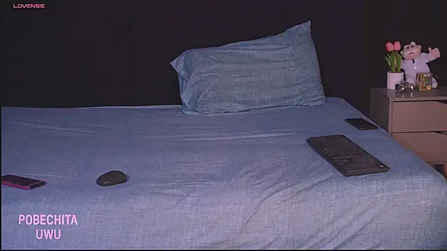 Pobechita's cam snapshot