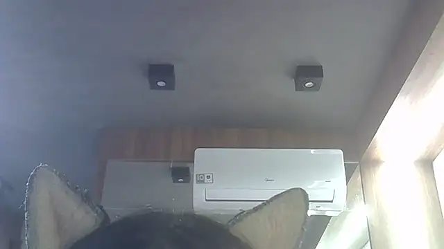 SkinnyKitten live sex cam