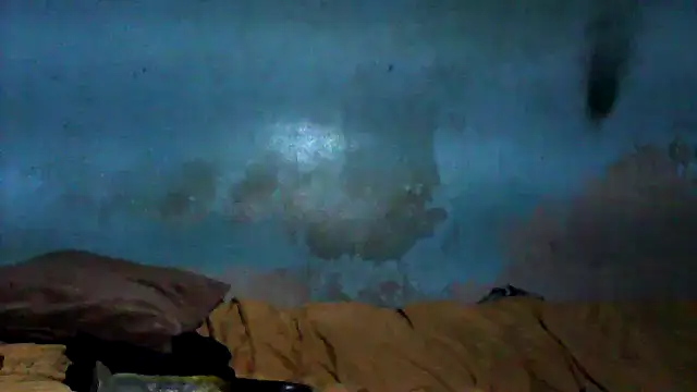 little__joy live sex cam