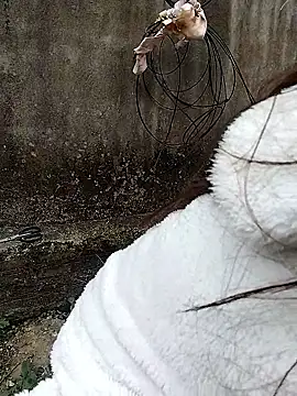 waaini99's cam snapshot