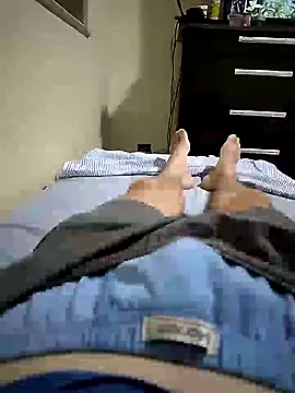 Gallanttrox live sex cam