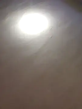 Sasu88_2 live sex cam