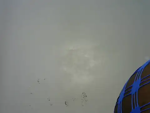 Rasta_tattooed live sex cam