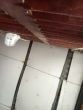 Lin-kute98's cam snapshot