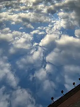 Max_965 live sex cam