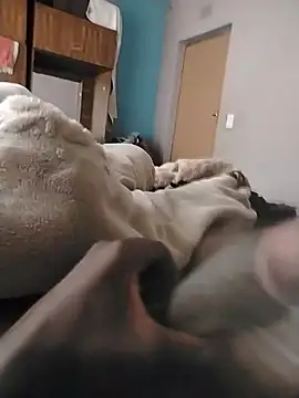 Stapura108 live sex cam